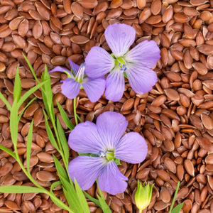 Flaxseed Oil