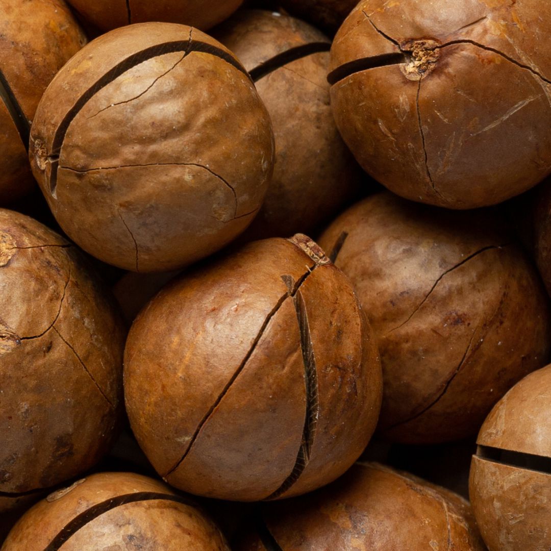 Macadamia Nut Oil